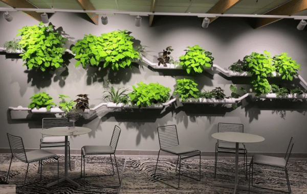 Tubegarden med hydrokultur växter