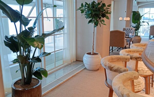 Lobby med växter