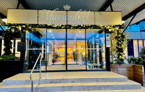 Juldekoration entré