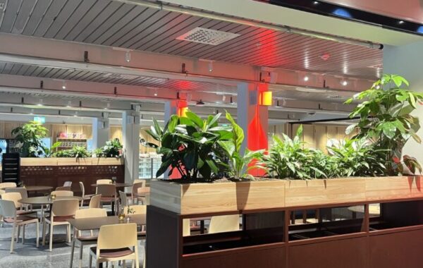 Kontor med växtavdelare