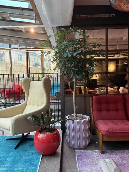 Ruby Hotels växtinredning