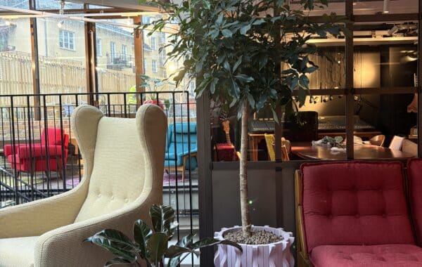 Ruby Hotels växtinredning