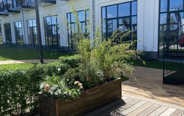 Uteplantering låda