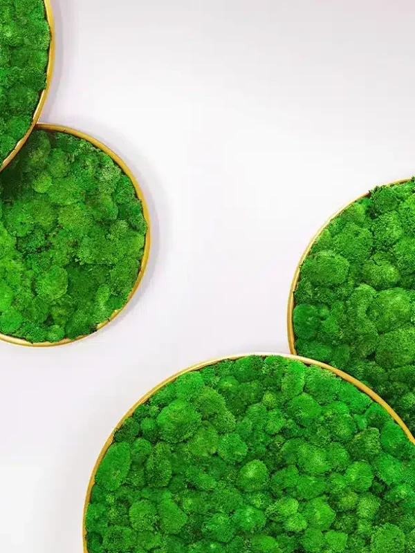Greenmood_G-circle_product-2