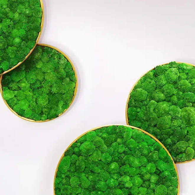 Greenmood_G-circle_product-2