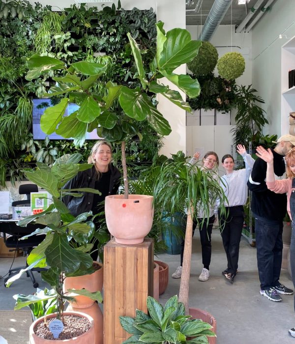 luwasa greenstyling malmö